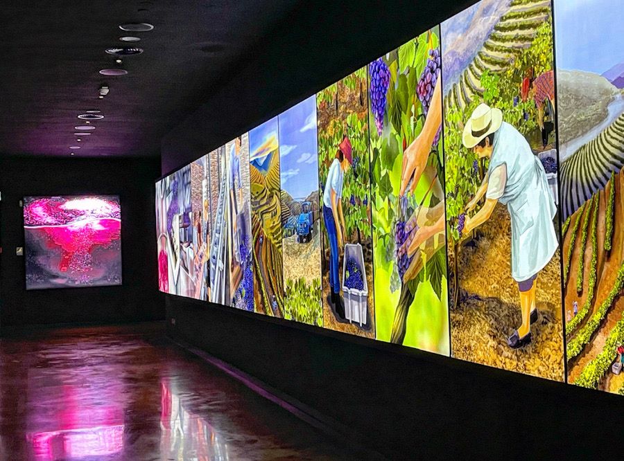 wow museo vino paneles