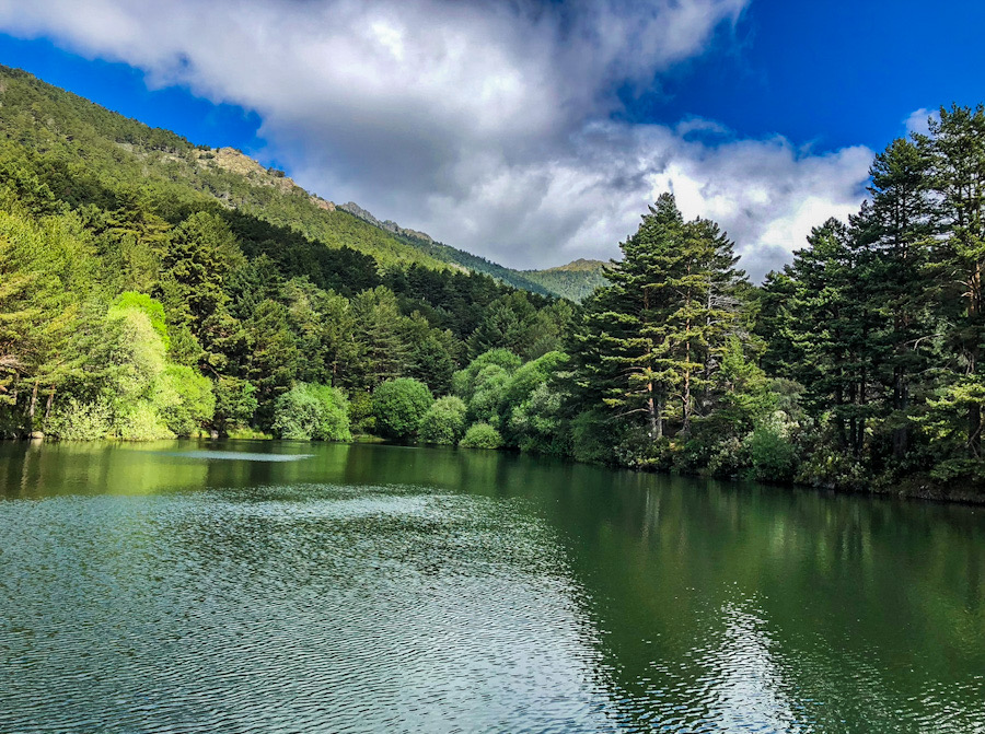 Navacerrada_embalse