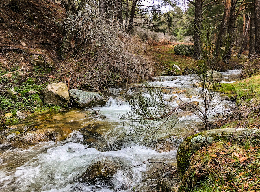 Navacerrada_embalse