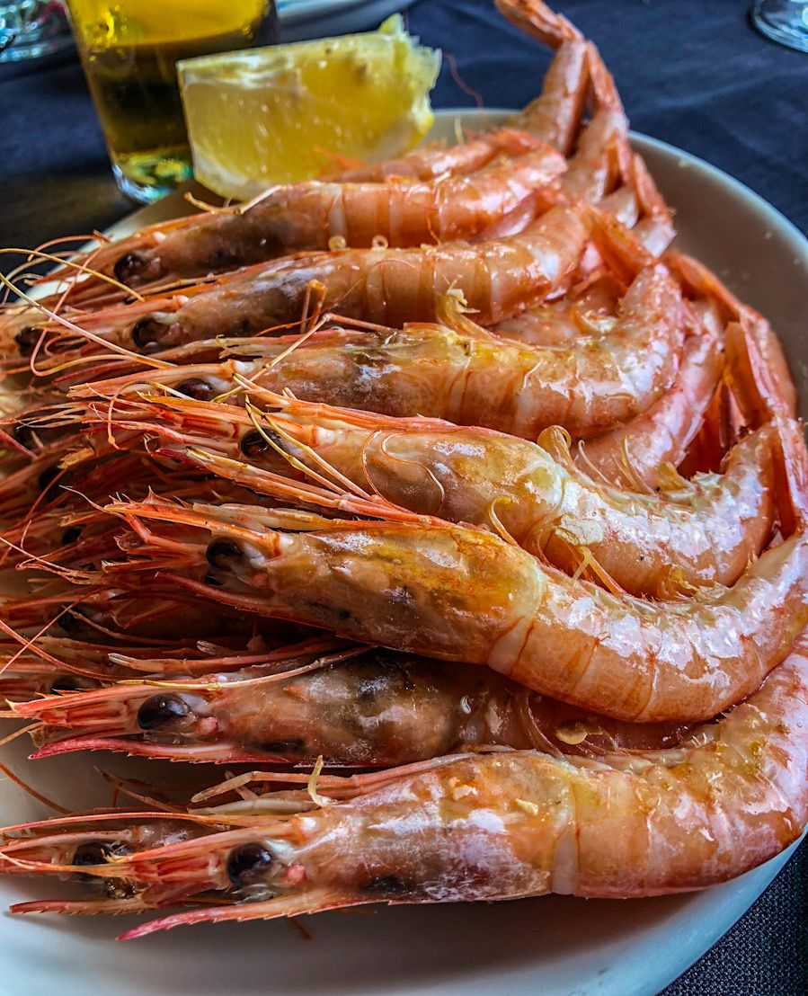 Navacerrada_sala_gambas