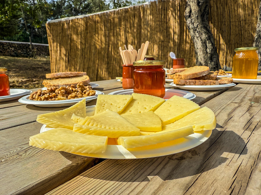 Ibiza_queso