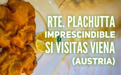 Plachutta, uno de mis imprescindibles en Viena