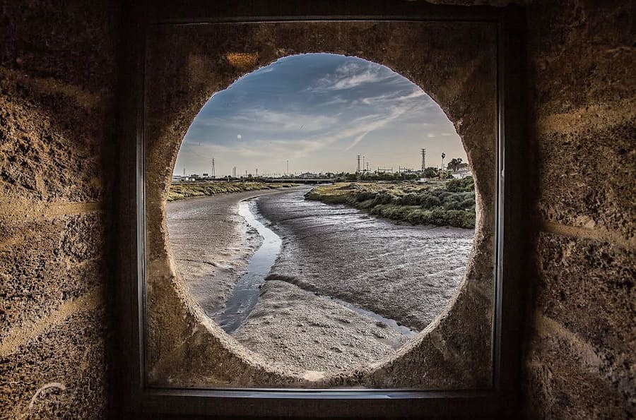 Angelleon_ventana