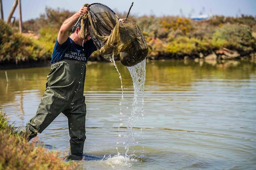 Angelleon_pescando