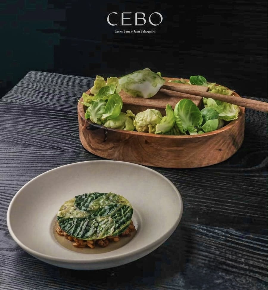 Cebo
